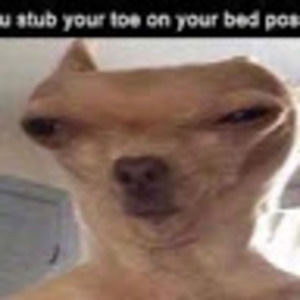 Meet your Posher, Addison